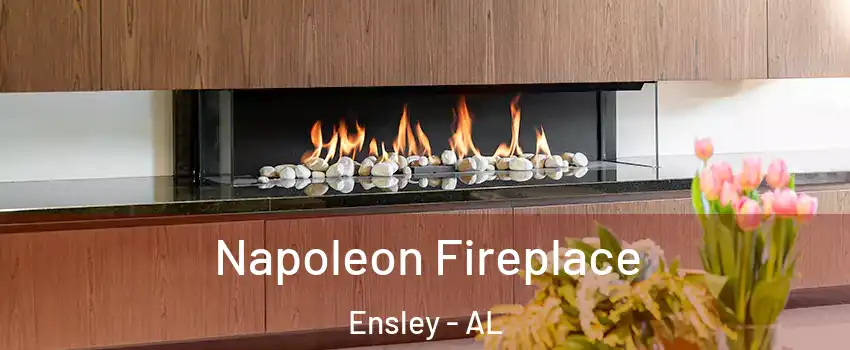 Napoleon Fireplace Ensley - AL