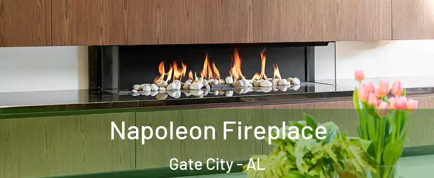 Napoleon Fireplace Gate City - AL