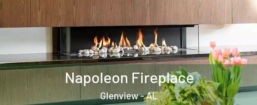 Napoleon Fireplace Glenview - AL