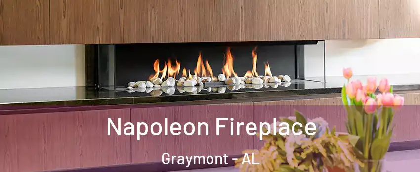 Napoleon Fireplace Graymont - AL
