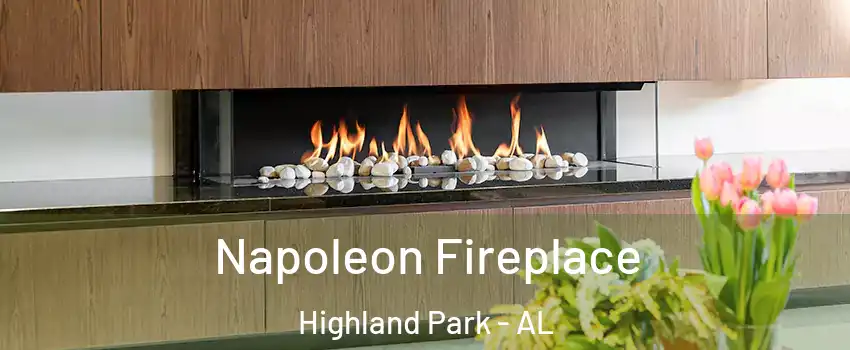 Napoleon Fireplace Highland Park - AL