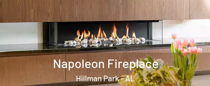Napoleon Fireplace Hillman Park - AL