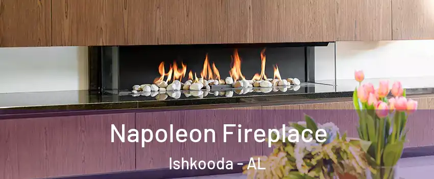 Napoleon Fireplace Ishkooda - AL