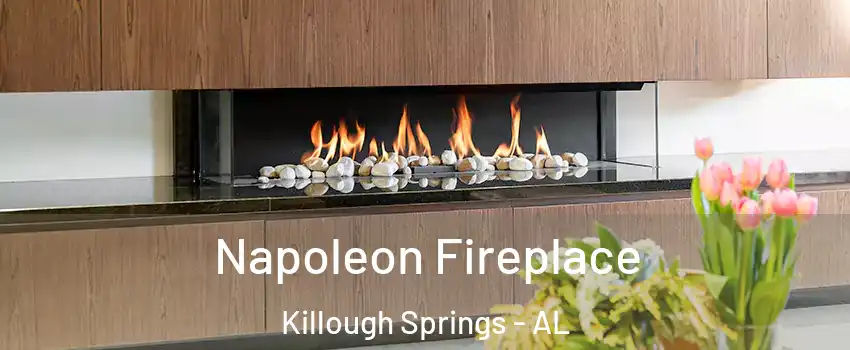 Napoleon Fireplace Killough Springs - AL