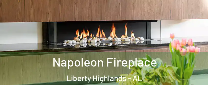 Napoleon Fireplace Liberty Highlands - AL