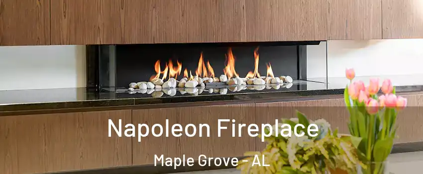 Napoleon Fireplace Maple Grove - AL