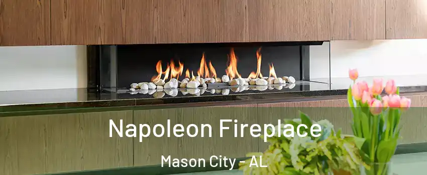 Napoleon Fireplace Mason City - AL