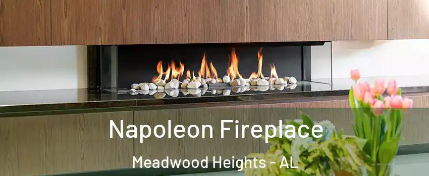 Napoleon Fireplace Meadwood Heights - AL