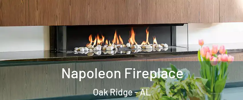 Napoleon Fireplace Oak Ridge - AL