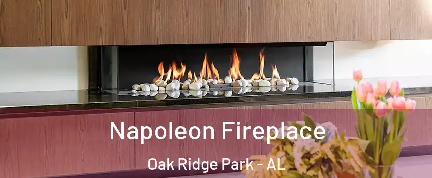 Napoleon Fireplace Oak Ridge Park - AL