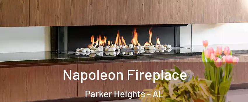 Napoleon Fireplace Parker Heights - AL