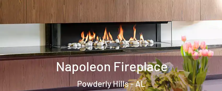 Napoleon Fireplace Powderly Hills - AL