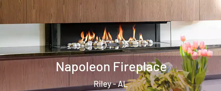 Napoleon Fireplace Riley - AL