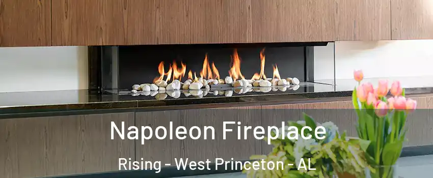 Napoleon Fireplace Rising - West Princeton - AL