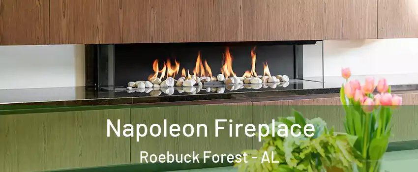 Napoleon Fireplace Roebuck Forest - AL