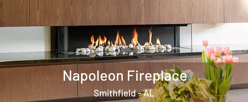 Napoleon Fireplace Smithfield - AL