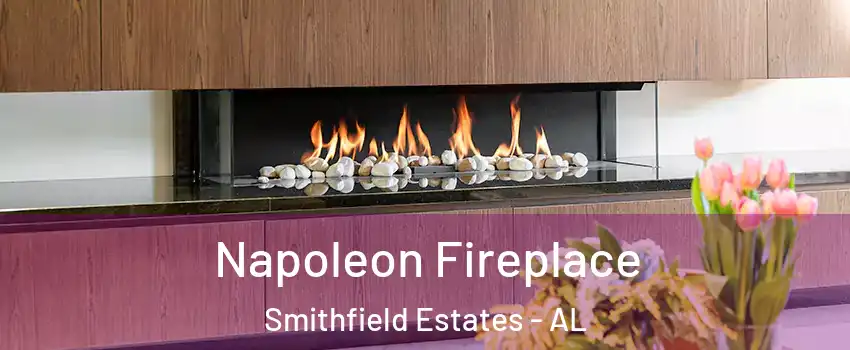 Napoleon Fireplace Smithfield Estates - AL