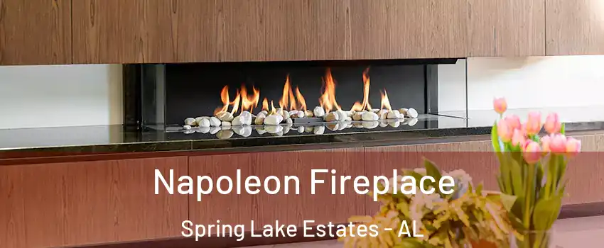 Napoleon Fireplace Spring Lake Estates - AL