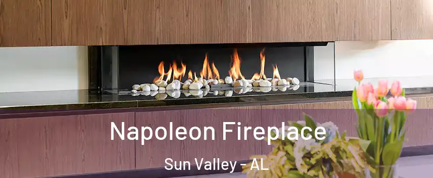Napoleon Fireplace Sun Valley - AL