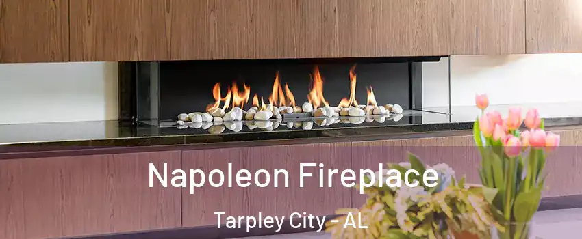 Napoleon Fireplace Tarpley City - AL