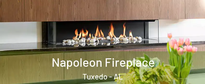 Napoleon Fireplace Tuxedo - AL