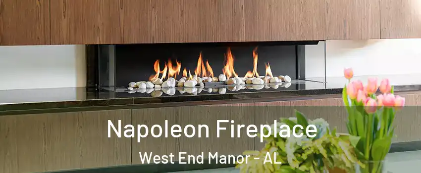 Napoleon Fireplace West End Manor - AL