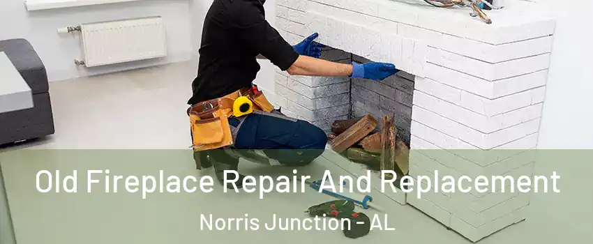 Old Fireplace Repair And Replacement Norris Junction - AL