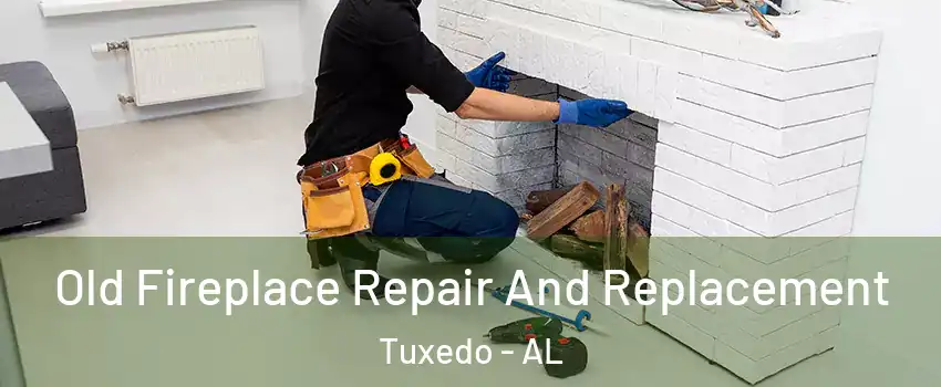 Old Fireplace Repair And Replacement Tuxedo - AL