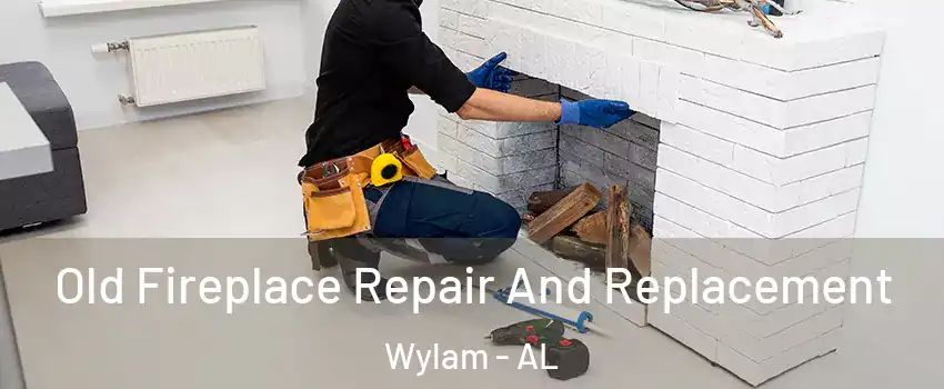 Old Fireplace Repair And Replacement Wylam - AL
