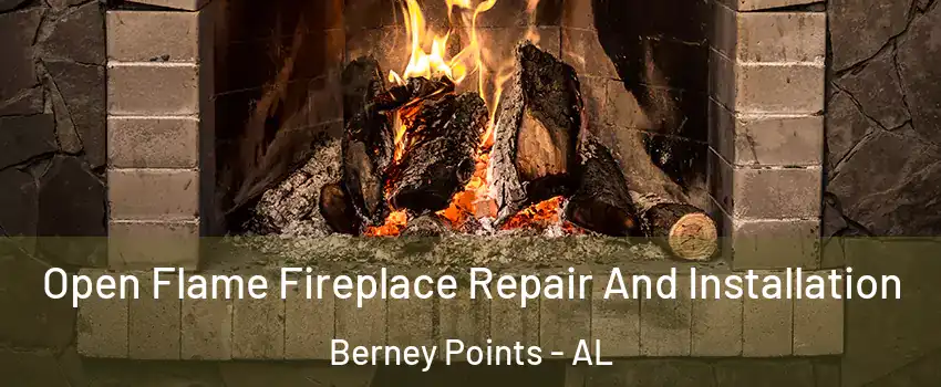 Open Flame Fireplace Repair And Installation Berney Points - AL