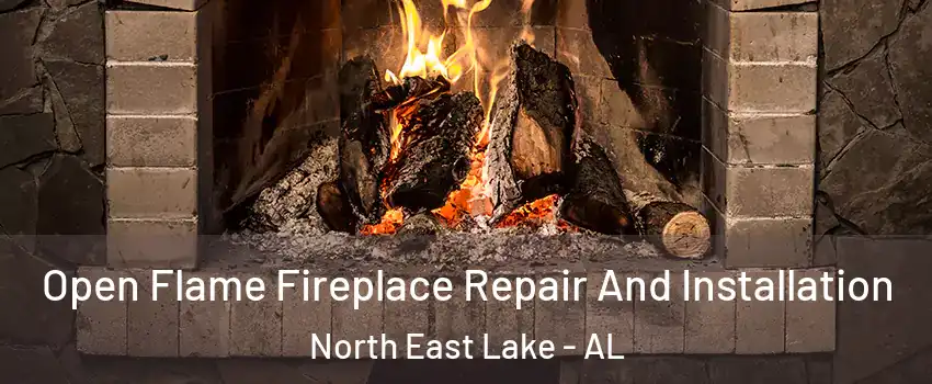 Open Flame Fireplace Repair And Installation North East Lake - AL