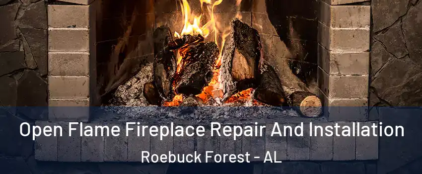 Open Flame Fireplace Repair And Installation Roebuck Forest - AL