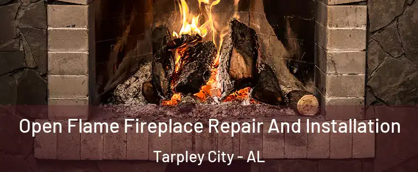 Open Flame Fireplace Repair And Installation Tarpley City - AL