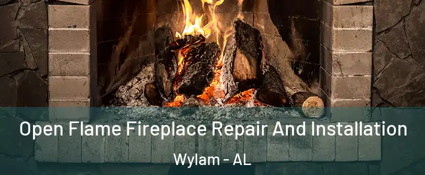 Open Flame Fireplace Repair And Installation Wylam - AL