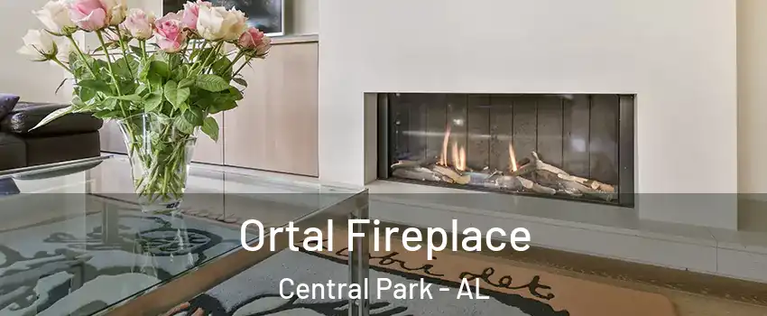 Ortal Fireplace Central Park - AL