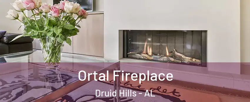 Ortal Fireplace Druid Hills - AL