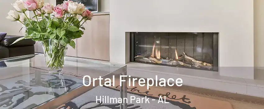 Ortal Fireplace Hillman Park - AL
