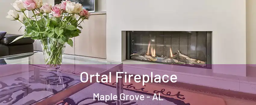 Ortal Fireplace Maple Grove - AL