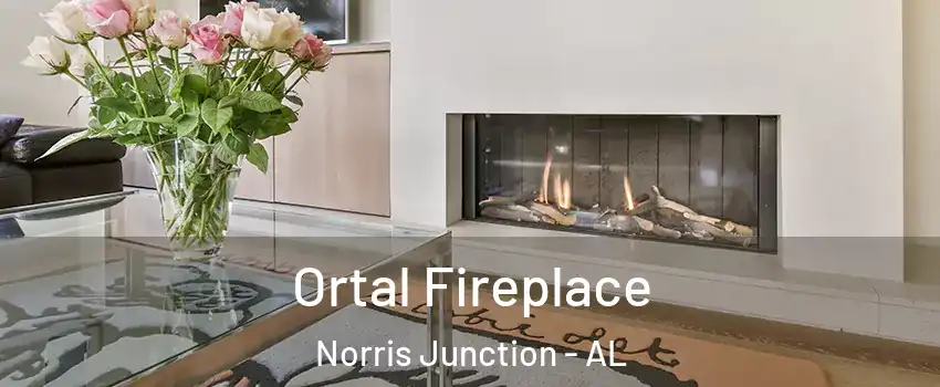 Ortal Fireplace Norris Junction - AL