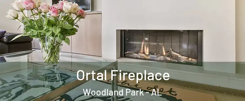 Ortal Fireplace Woodland Park - AL