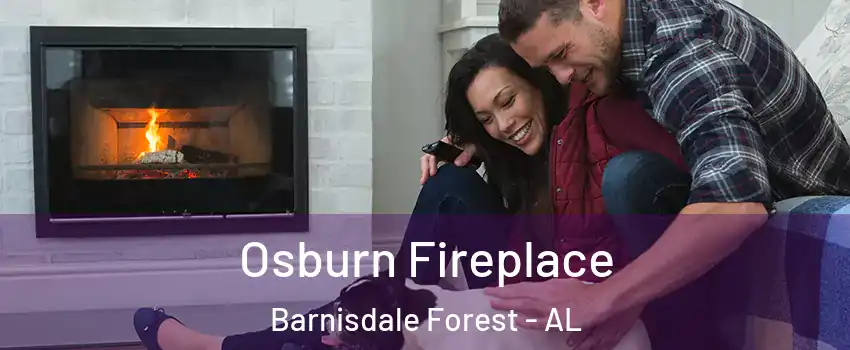 Osburn Fireplace Barnisdale Forest - AL