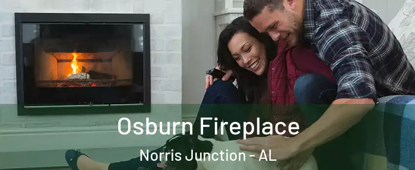 Osburn Fireplace Norris Junction - AL
