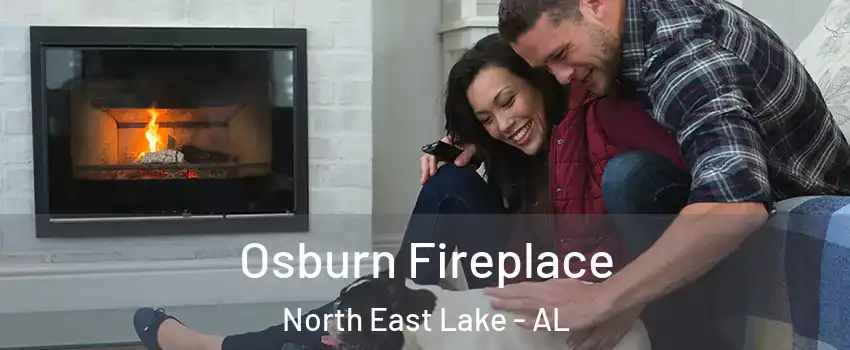 Osburn Fireplace North East Lake - AL