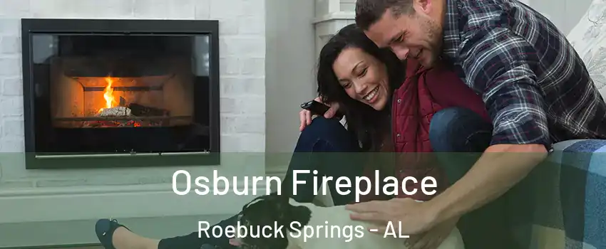 Osburn Fireplace Roebuck Springs - AL