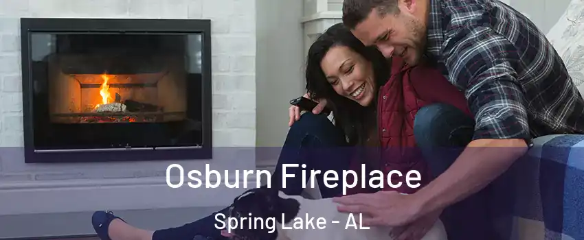 Osburn Fireplace Spring Lake - AL