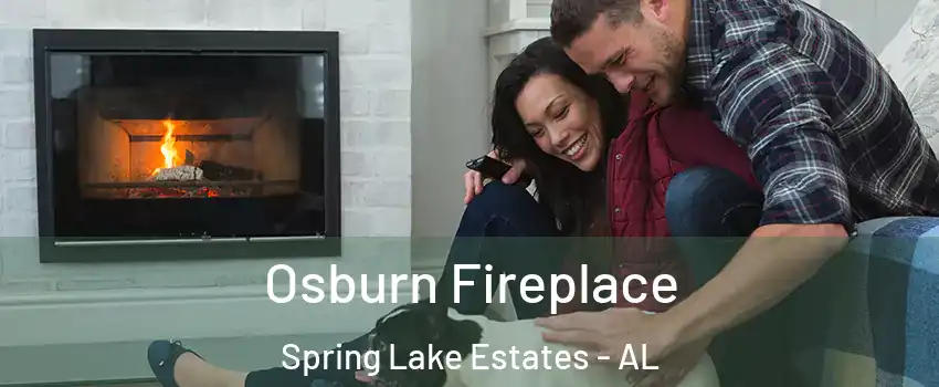Osburn Fireplace Spring Lake Estates - AL