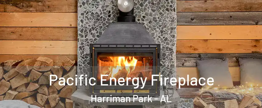 Pacific Energy Fireplace Harriman Park - AL