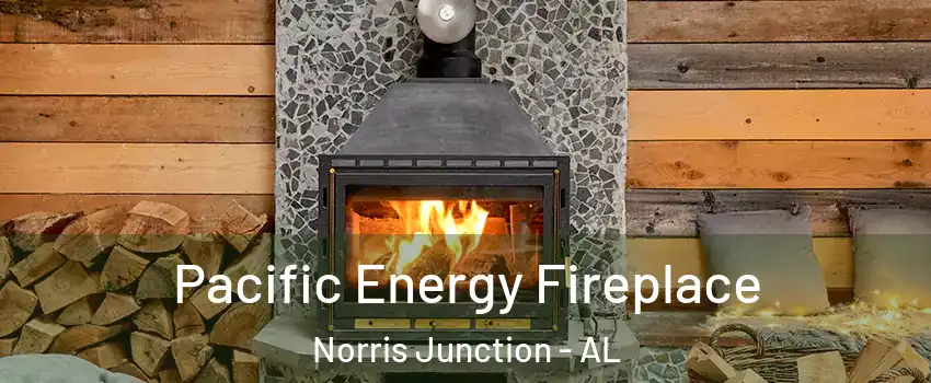 Pacific Energy Fireplace Norris Junction - AL