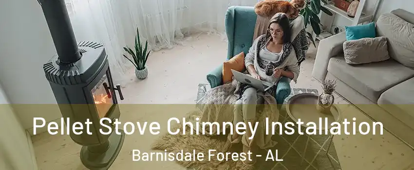 Pellet Stove Chimney Installation Barnisdale Forest - AL
