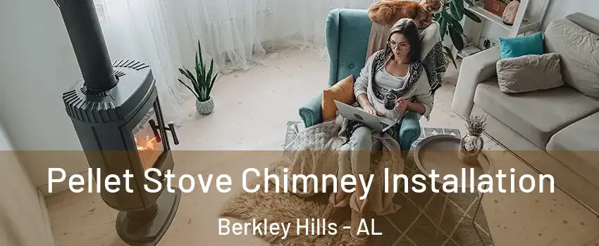 Pellet Stove Chimney Installation Berkley Hills - AL